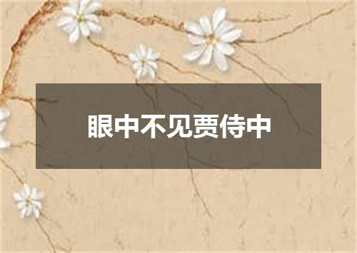 眼中不见贾侍中