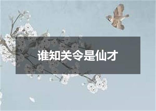 谁知关令是仙才