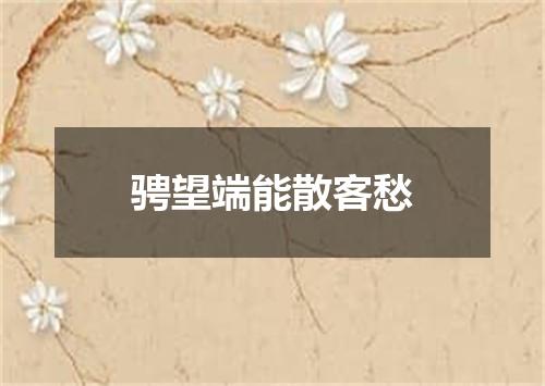 骋望端能散客愁