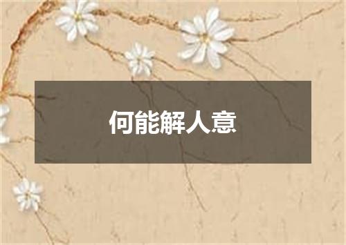 何能解人意