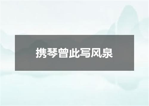 携琴曾此写风泉