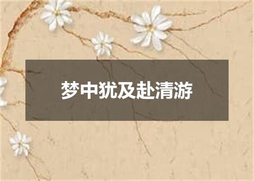梦中犹及赴清游