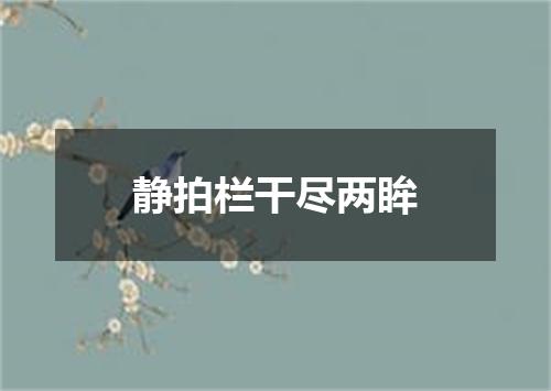 静拍栏干尽两眸
