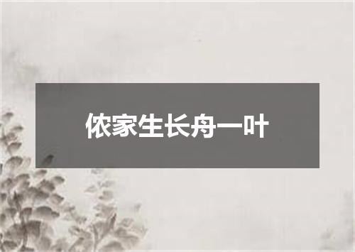 侬家生长舟一叶