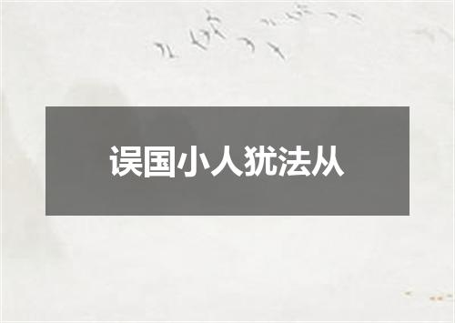 误国小人犹法从