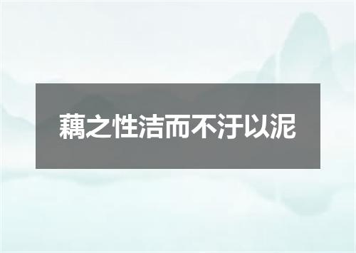 藕之性洁而不汙以泥