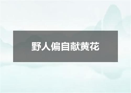 野人偏自献黄花