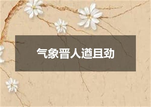 气象晋人遒且劲