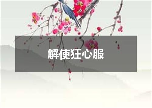 解使狂心服