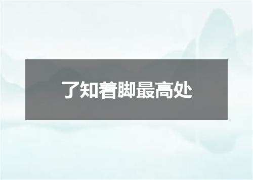 了知着脚最高处