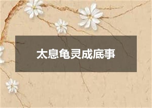 太息龟灵成底事