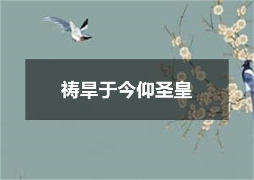 祷旱于今仰圣皇