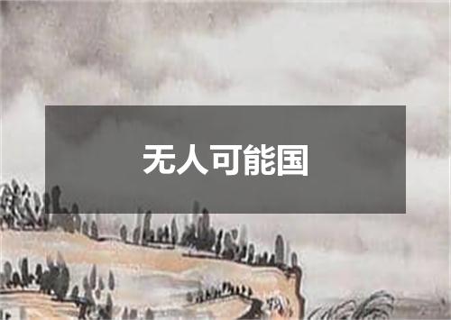 无人可能国