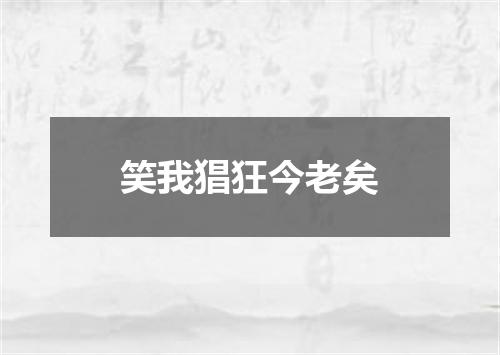 笑我猖狂今老矣