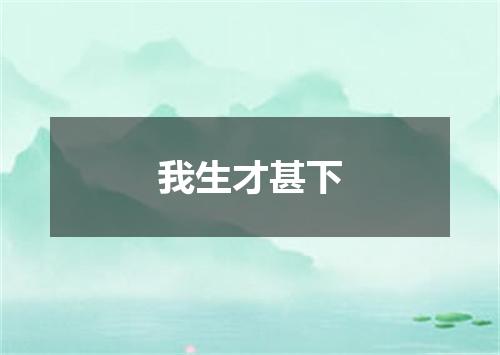 我生才甚下