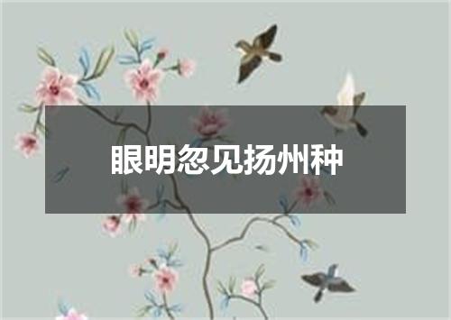 眼明忽见扬州种
