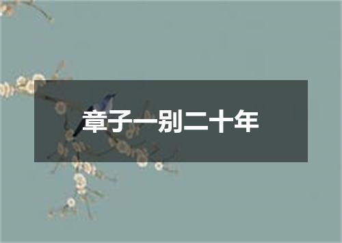 章子一别二十年