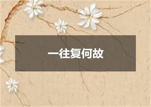 一往复何故