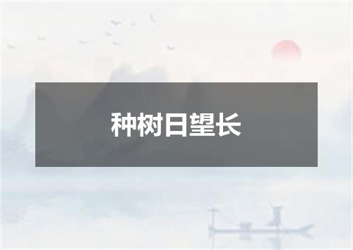 种树日望长