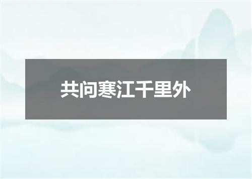 共问寒江千里外