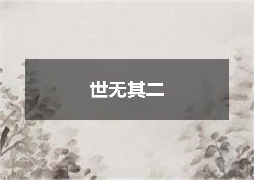 世无其二
