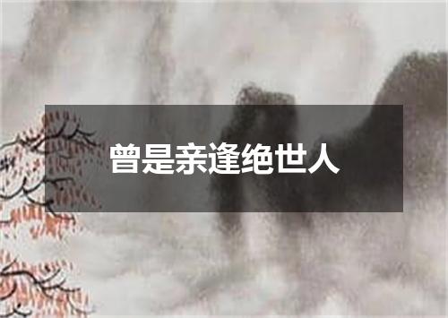 曾是亲逢绝世人