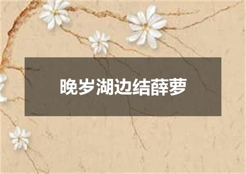 晚岁湖边结薛萝