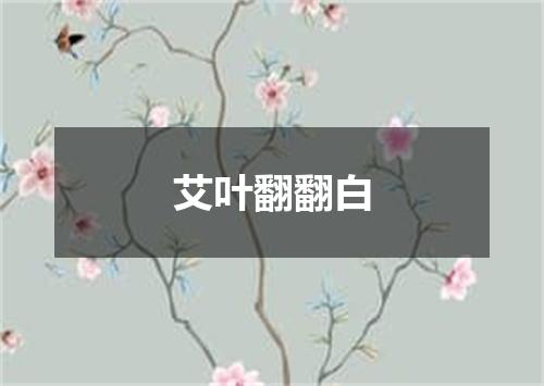 艾叶翻翻白