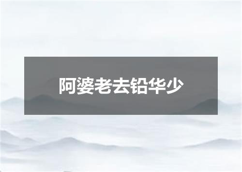 阿婆老去铅华少