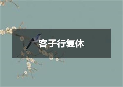 客子行复休
