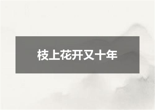 枝上花开又十年