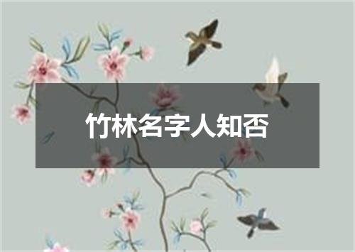 竹林名字人知否