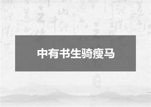 中有书生骑瘦马