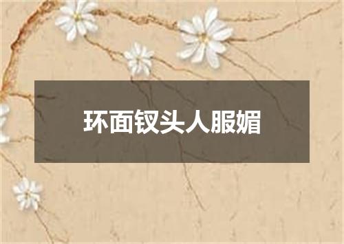 环面钗头人服媚