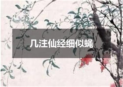 几注仙经细似蝇