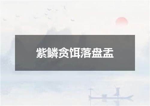 紫鳞贪饵落盘盂