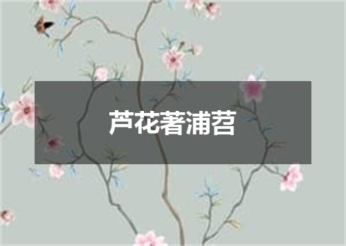芦花著浦苕