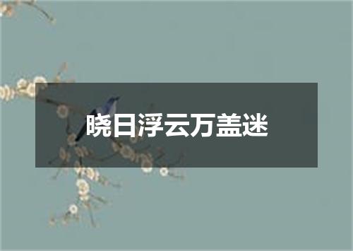 晓日浮云万盖迷