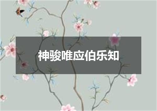 神骏唯应伯乐知