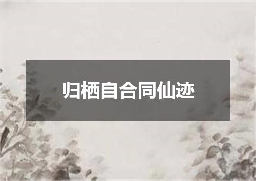 归栖自合同仙迹