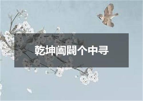 乾坤阖闢个中寻