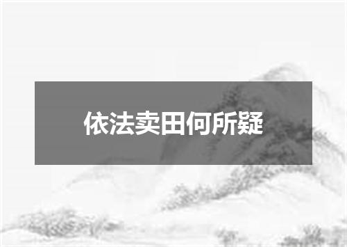 依法卖田何所疑
