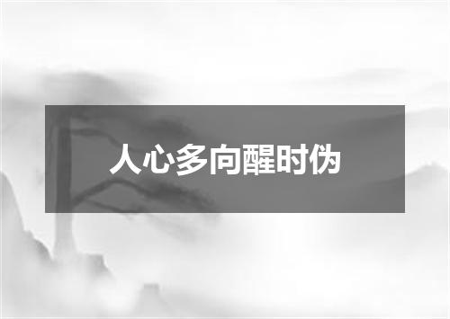 人心多向醒时伪