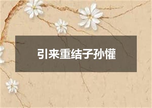 引来重结子孙懽