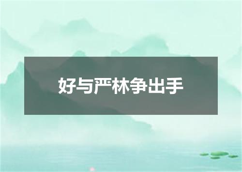 好与严林争出手