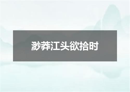 渺莽江头欲拾时