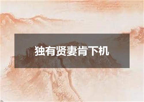 独有贤妻肯下机