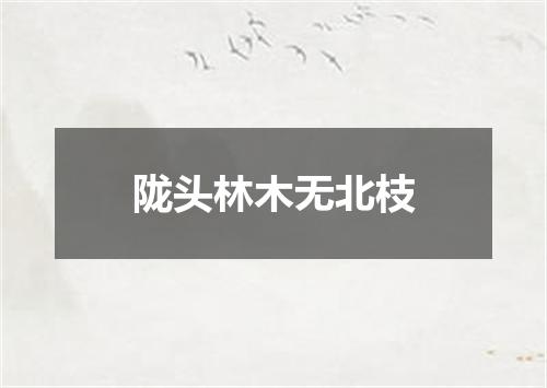 陇头林木无北枝