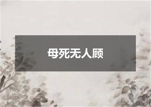 母死无人顾