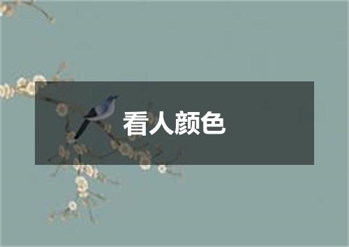 看人颜色